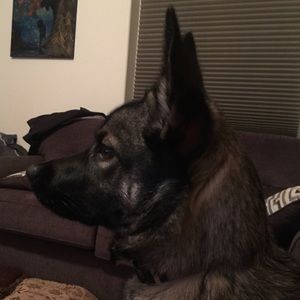 Meet your Posher, Vincent